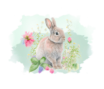 Desenho Layout