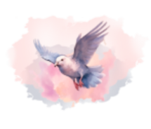 Desenho Layout