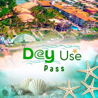 Day Use Pass